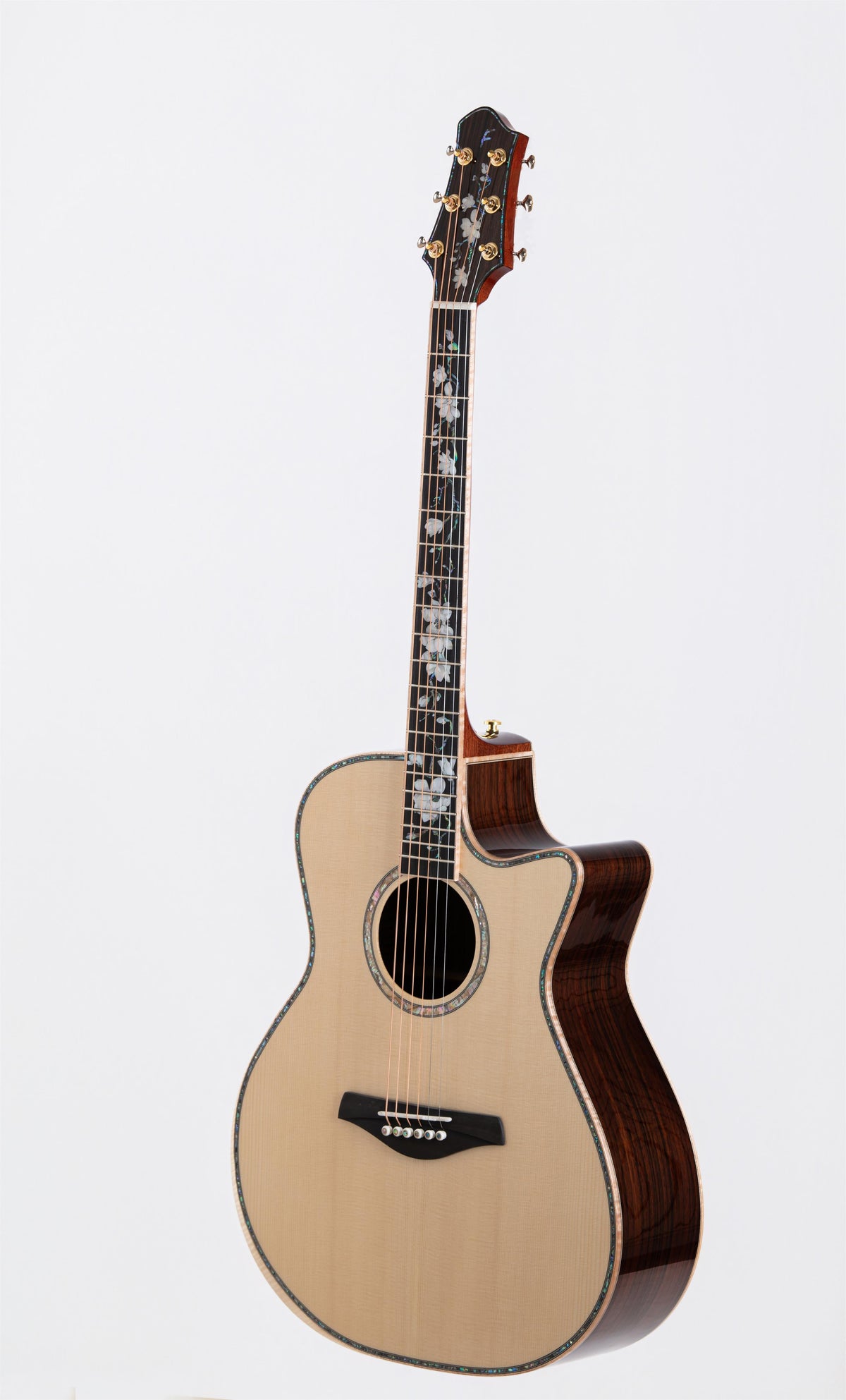 New Firefly  GF41-F Acoustic Guitar